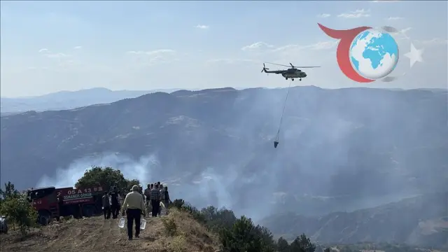 Çorum, Malatya ve Gümüşhane'deki Orman Yangınlarıyla Mücadele Devam Ediyor