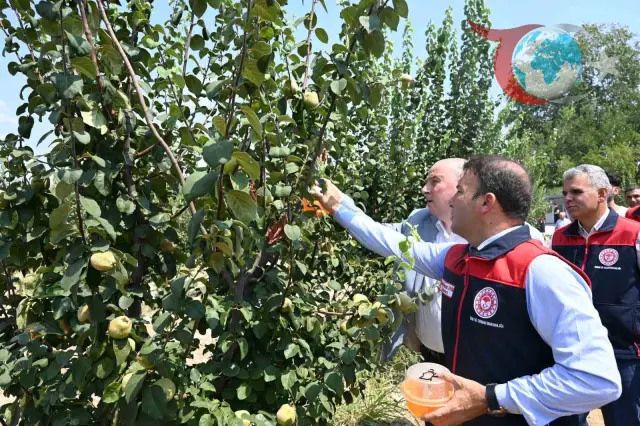 Denizli’de Kalıntısız Tarım İçin Biyoteknik Mücadele