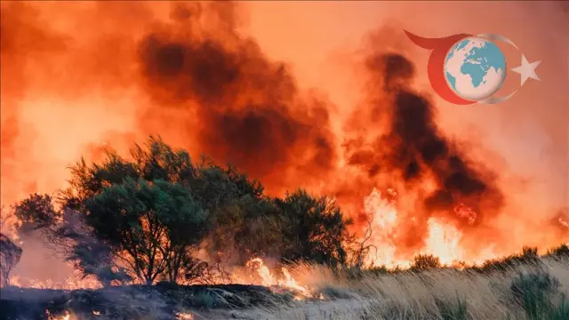 İspanya ve Portekiz'de Yangınların Sonucu Olarak Tarihi Emisyon Artışı