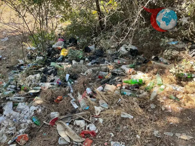 Bilecik’te Ormanlık Alanda Alkol Şişelerinden Oluşan Çöp Tepkisi
