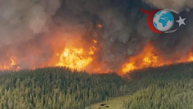 Olağanüstü Hal İlan Edilen Manitoba'daki Orman Yangınları