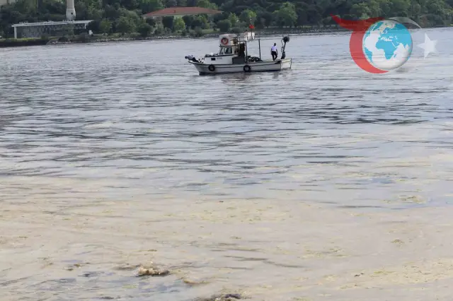 Marmara Balıkçıları Müsilaj Desteğiyle Rahat Nefes Alacak