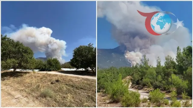 Denizli'de Orman Yangını: Cankurtaran Mahallesi Alevlere Teslim