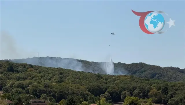 Zekeriyaköy'de Orman Yangınına Anında Müdahale