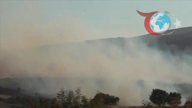Balıkesir'de Orman Yangını: Ekipler Harekete Geçti