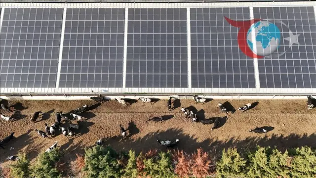 Kırklareli İlçesinde Güneş Enerjisi Sistemiyle Enerji Tasarrufu