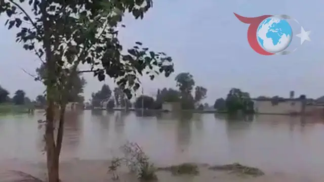 Hindistan'ın Fazla Suları Boşaltması Sonrası Pakistan'da Felaket!