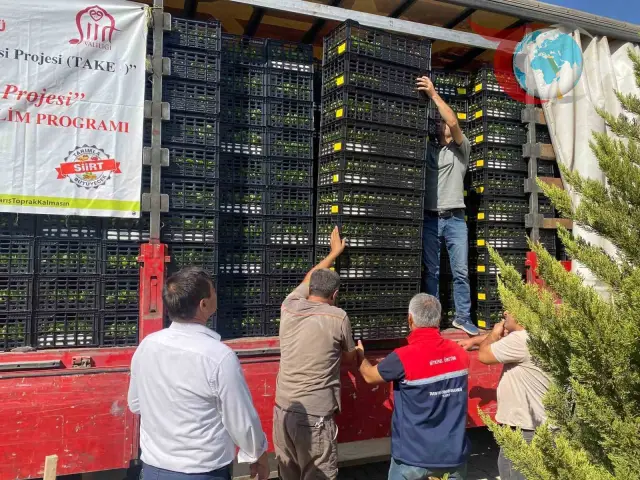 Siirt'te Tarımsal Kalkınma Rüzgarı: Üreticilere Binlerce Fide Desteği