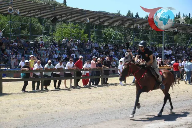 Türkiye'nin Dört Bir Yanından Rahvan Atçılar Gölcük'te Buluşuyor