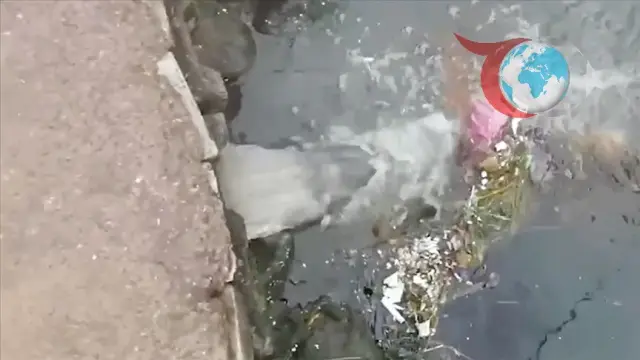 Çınarcık Belediyesine Milyonluk Ceza!