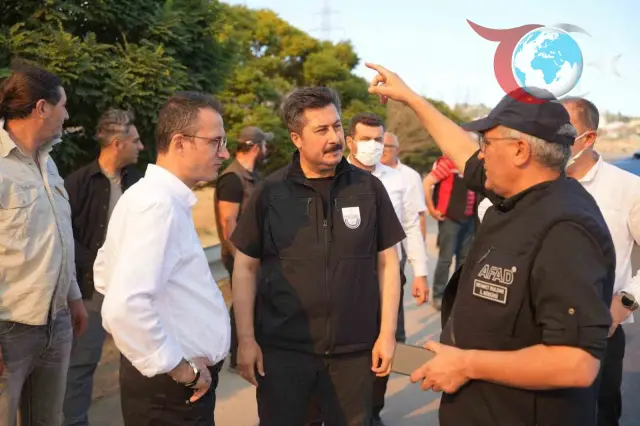 Yenişehir'de Büyük Yangın: 100 Hektarlık Arazi Kül Oldu