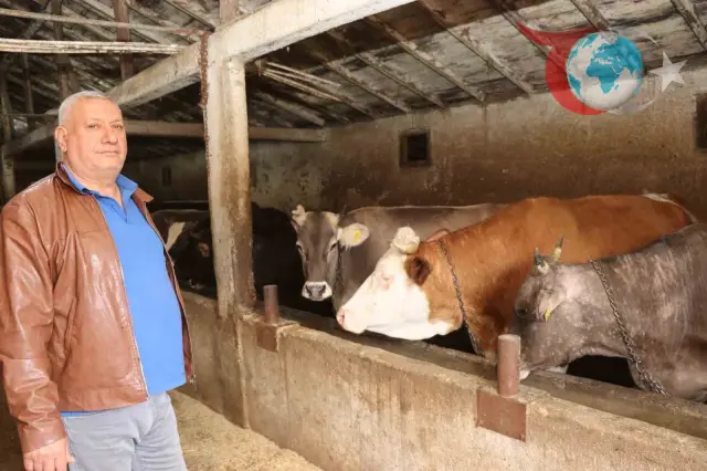 Erzurum’da Kurban Bayramı Yaklaşıyor: Hayvan Pazarlarında Fiyatlar Yükseliyor