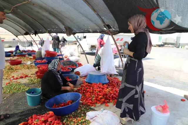 Şanlıurfa’da Mevsimlik Tarım İşçilerine Mobil Sağlık Hizmeti