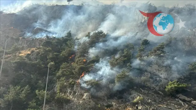 Aydın'da Orman Yangını: Müdahale Çalışmaları Sürüyor