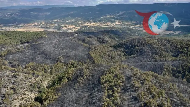 Kastamonu'da Orman Yangını Kontrol Altına Alındı