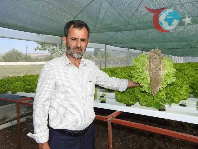 Gaziantep’in Yavuzeli ilçesinde topraksız tarımla yüksek verim elde eden çiftçi