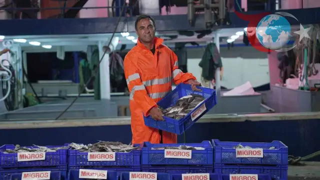 Migros, Türkiye'nin Farklı Köşelerine Taze Balık Ulaştırıyor