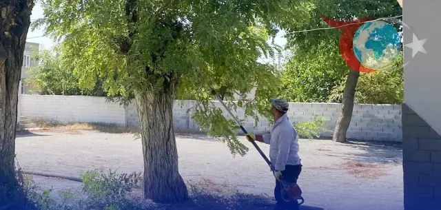 Aydın Çine'de Okullar Yeni Eğitim Yılına Hazır!