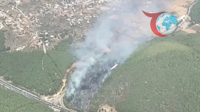 Muğla ve Mardin'de Orman Yangınlarıyla Mücadele Sürüyor