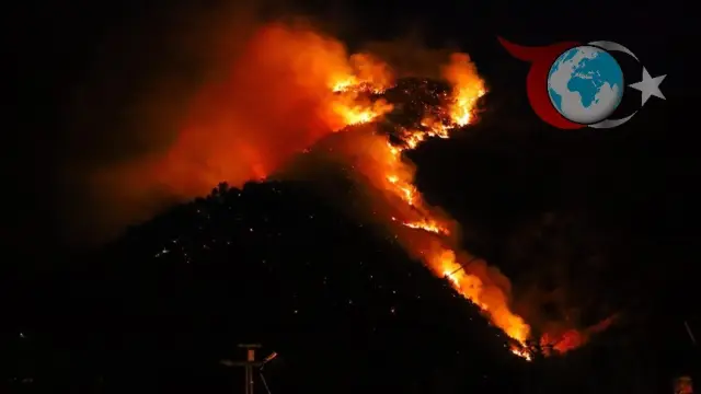 Hakkari'de Orman Yangını: Ekipler Seferber Oldu