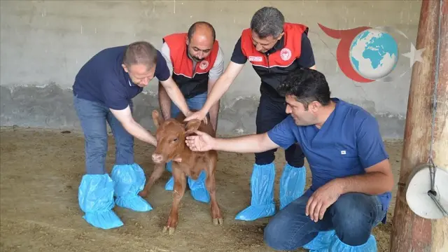 Muş'ta Kırsal Kalkınmaya Destek: "Kırsalda Bereket, Hayvancılığa Destek Projesi"