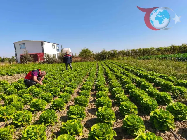 Beyşehir'de Meyve ve Sebze Bahçeleri Yakından İzleniyor