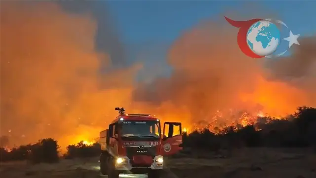 Türkiye'nin Orman Yangınlarıyla Mücadelesi Sürüyor