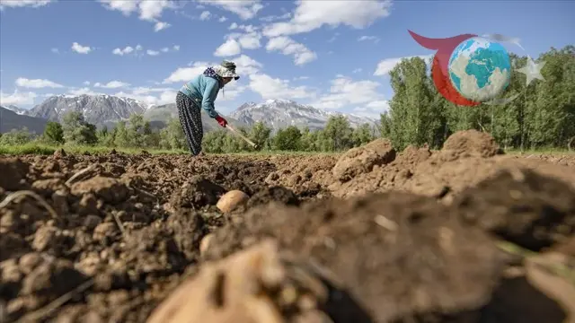 Tarımsal Destek Ödemeleri Hesaplara Aktarılıyor: Çiftçilere Büyük Destek