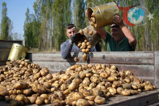 Temmuz Ayında Tarımsal Girdi Fiyatlarında Önemli Artışlar Yaşandı