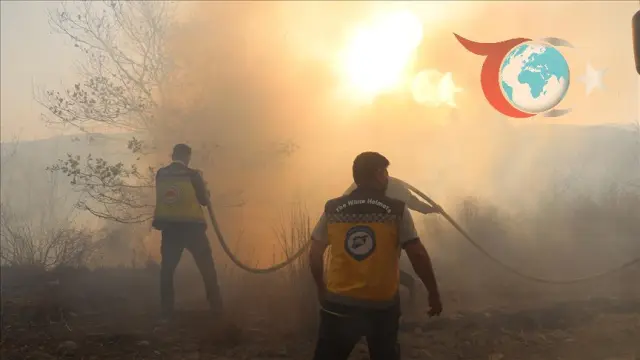 Suriye Lazkiye'de Devam Eden Orman Yangınları Kontrol Altına Alınmaya Çalışılıyor