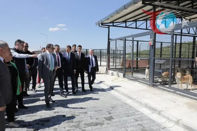 Kütahya'da Sokak Hayvanları İçin Yeni Barınak Tamamlandı