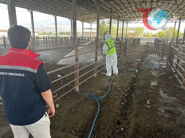 Iğdır Hayvan Pazarı Yeniden Kapatıldı: Şap Hastalığı Tehlikesi Devam Ediyor