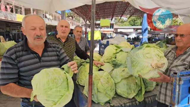 Gökyar Lahanası: Doğallığı ve Lezzetiyle Darende'nin Gururu