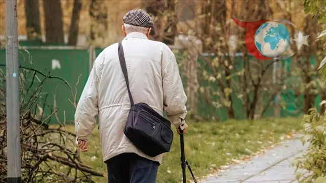 Alman İş Gücü Piyasasında Yaşlı Çalışanların Yükselişi