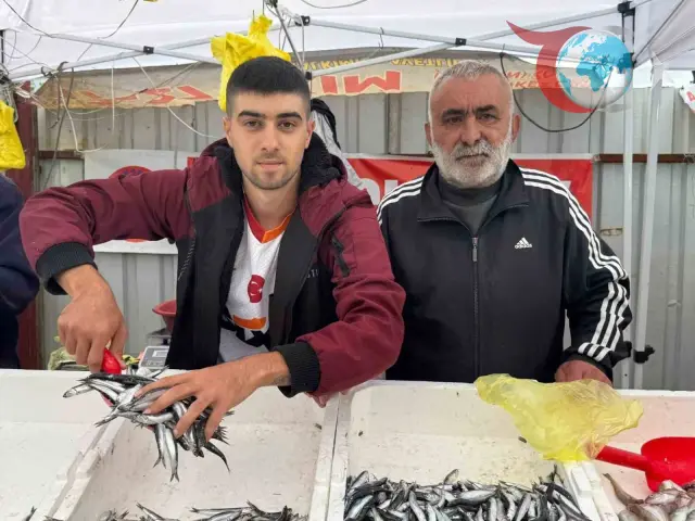 Zonguldak'ta Hamsi Bolluğu: Fiyatlar 100 Liraya Düştü!