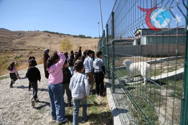 Dünya Hayvanları Koruma Günü'nde Van'dan Örnek Bir Etkinlik