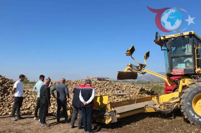 Tokat'ın Pazar İlçesinde Şeker Pancarı Hasadı Rekor Kırmaya Hazırlanıyor