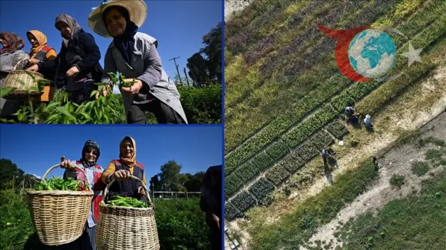 Tarım Akademisi ile Düzce’de Kadın ve Gençlere Yeni İstihdam Fırsatları