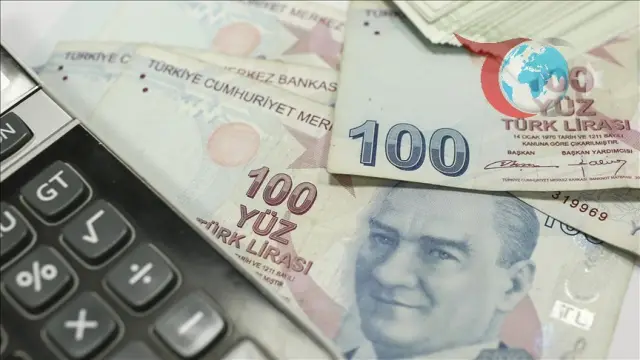 Türk Ekonomisinde Katma Değerin Kaynağı: Sektörlerin Payı ve Tasarruf Oranları
