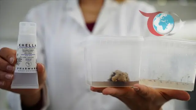 Çanakkale'den Uluslararası Başarı: "Khella" ile Doğal Güzellik Devrimi
