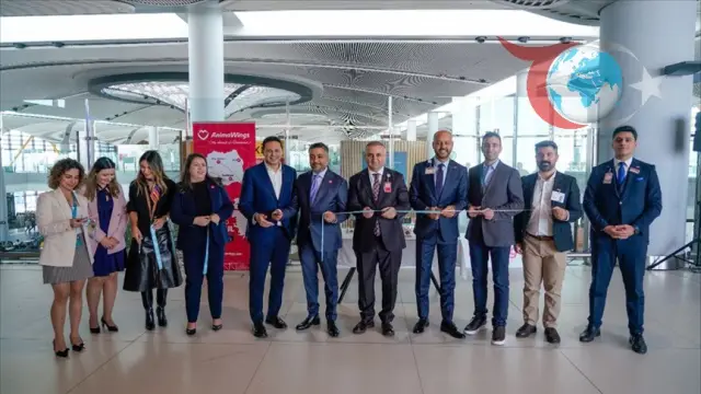 Romanya-İstanbul Uçuşlarında Yeni Dönem: AnimaWings Başladı!