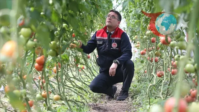 Kars'ın Soğuk İkliminde Seracılık Başarı Hikayesi