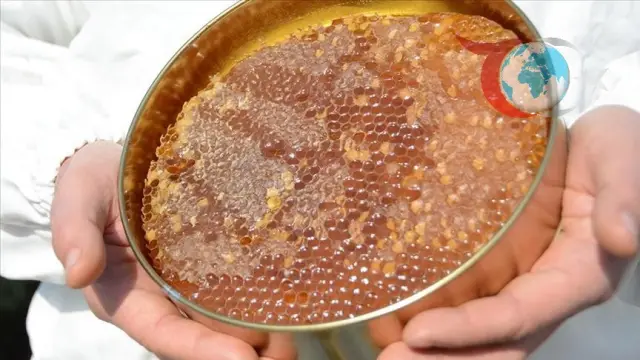 Türk Balı İhracatında Yükseliş: 46 Ülkede Alıcı Buldu