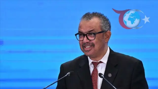 DSÖ Salgın Anlaşması, DSA Tarafından Resmen Kabul Edildi