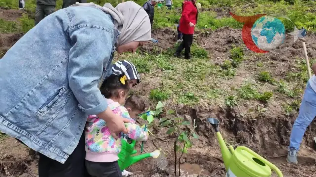Osmaniye Aile ve Sosyal Hizmetler İl Müdürlüğü Duman Yaylasında Hatıra Ormanı Oluşturdu