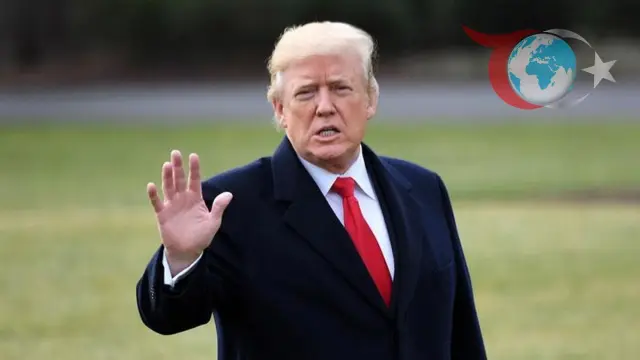 Amerika'nın Yeni Kuralı: İngilizce Bilmeyen Şoförler Görevden Alınacak!
