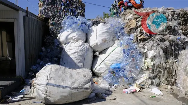 Türkiye'de Atık Yönetimi: 2024 İstatistikleri Açıklandı