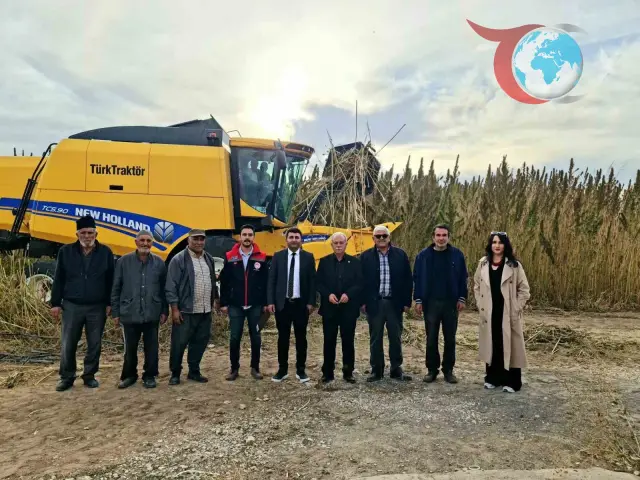 Kulu'da Endüstriyel Kenevir Hasadı Başladı: Alternatif Tarım Ürünü Olabilir
