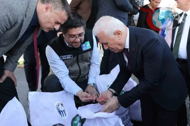Bursa'da Yerli Buğday Tohumu Üreticilere Hibe Edildi