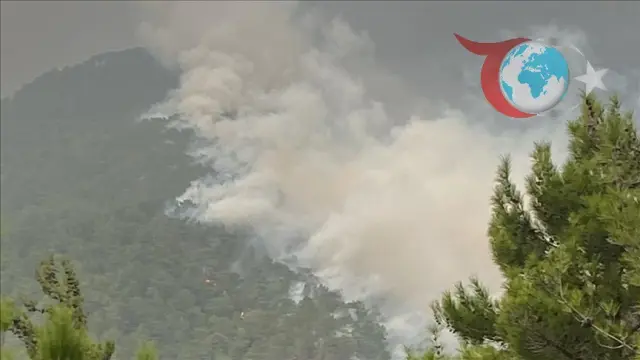 Hatay'da Orman Yangınlarına Hızlı Müdahale